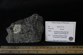 Quartz latite porphyry
