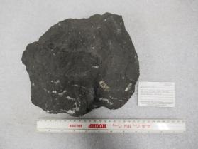 Enargite