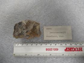 lewistonite