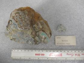Wardite