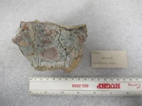 Wardite