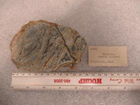 Wardite