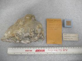 lewistonite