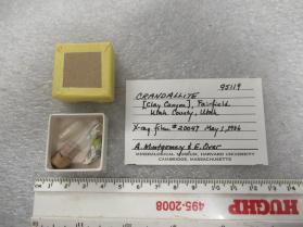Crandallite