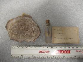 Wardite