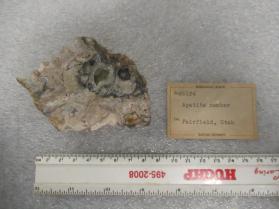 Hydroxylapatite