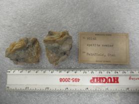 Hydroxylapatite