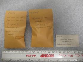 Hydroxylapatite