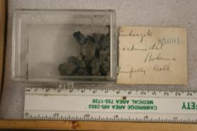 Sternbergite