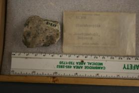 Sternbergite