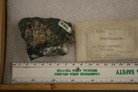 Sternbergite