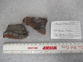 Burnt Wood Pieces