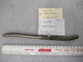 Metal Surgical Tool