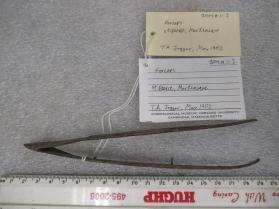 Metal Forceps
