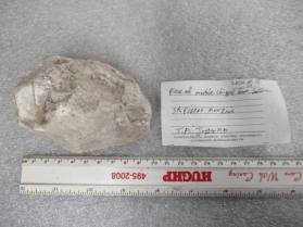 Marble Fragment