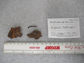 Iron Fragments