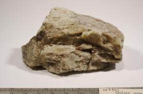 Chlorapatite