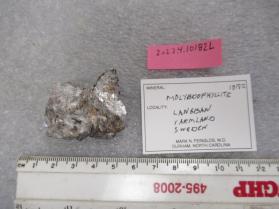 Molybdophyllite