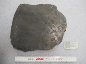 Violarite