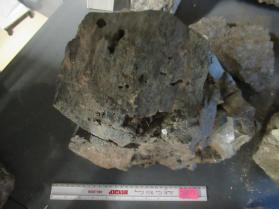 Hornblende