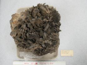 Axinite-(Fe)