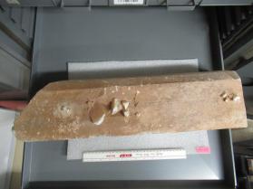 Gypsum
