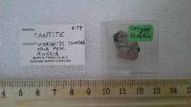 Tantite