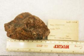 Chlorargyrite