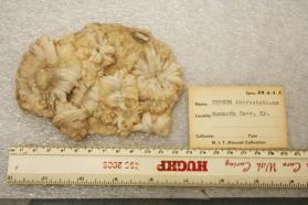 Gypsum incrustations