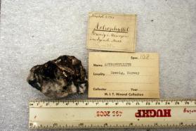 Astrophyllite crystals in matrix