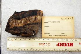 Collinsite