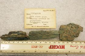 Vivianite replacing wood? In muds above gold bearing stream gravels.