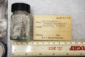 Fluorapatite var. Collophanite pebbles