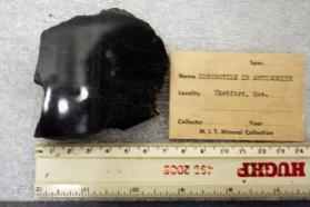 Chrysotile in Antigorite, cut and polished