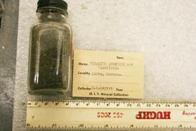 Aegerine (Vanadian) and Hornblende