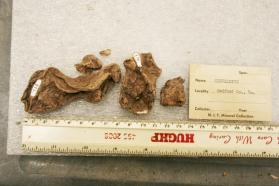 Chevkinite