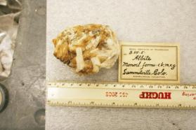 Albite crystals in matrix