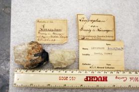 Leucophanite with Aegirine