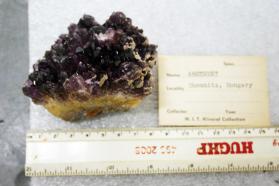 Quartz var. Amethyst crystal group