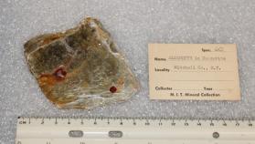 Almandine in Muscovite