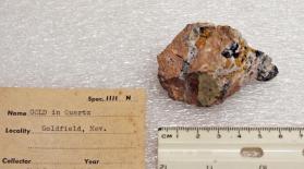 Gold with Quartz, Goldfieldite, Bismuthinite, Famatinite, Enargite in Andesite