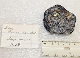 Silver Nugget