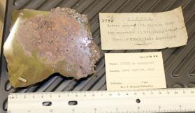 Copper and Calcite in Amygdaloid, cut and polished