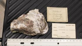Sphalerite in Calcite