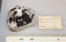 Sphalerite (Fe Rich) in Quartz