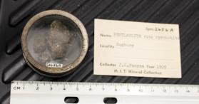 Pentlandite with Pyrrhotite