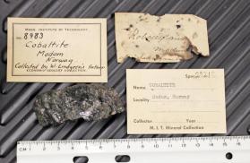 Cobaltite in Hornblende with Quartz