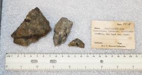 Fergusonite-(Y) with Microcline, Pyroxene, and Hornblende