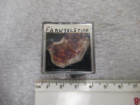 Farnsoletite