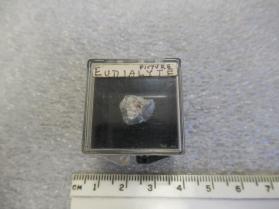 Eudialyte